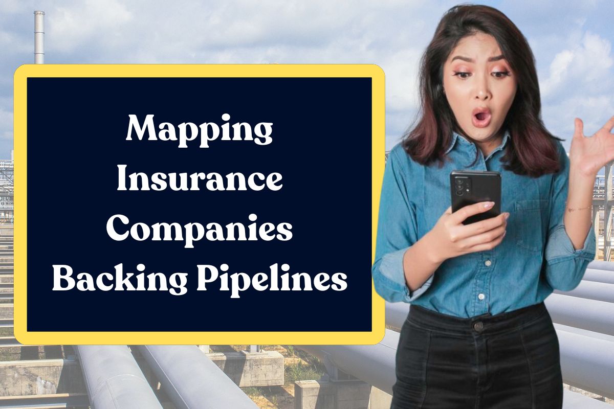 Mapping Insurance Companies Backing Pipelines: Everything You Need to Know