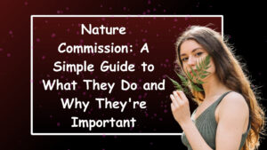 Nature Commission: A Simple Guide to What They Do and Why They’re Important